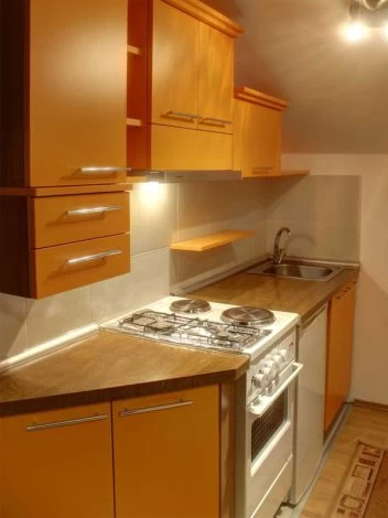 Apartman 5 - Vlasinski Vrtovi